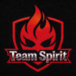 Team Spirit战队队标Logo